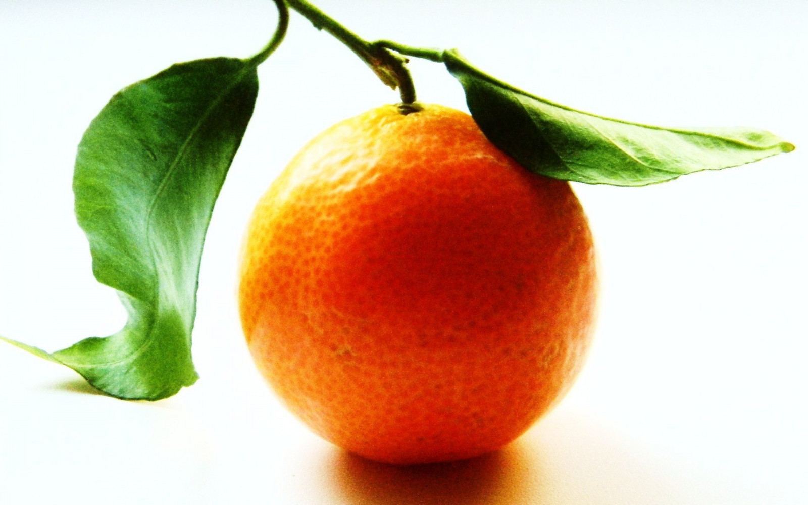 วอลเปเปอร์ : 1920x1200 px, ผลไม้, ส้ม 1920x1200 - wallpaperUp - 1712829