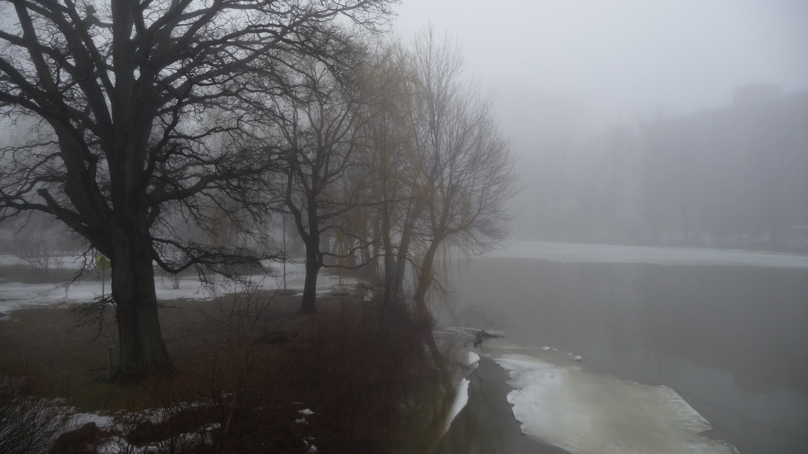 slunečnímu záření, voda, Příroda, odraz, sníh, zima, led, ráno, mlha, mráz, řeka, kanál, zmrazení, opar, strom, mlha, počasí, sezóna, vánice, brouillard, thegalaxy, rememberthatmomentlevel1, rememberthatmomentlevel2, Riviere, atmosférický jev, mrholení