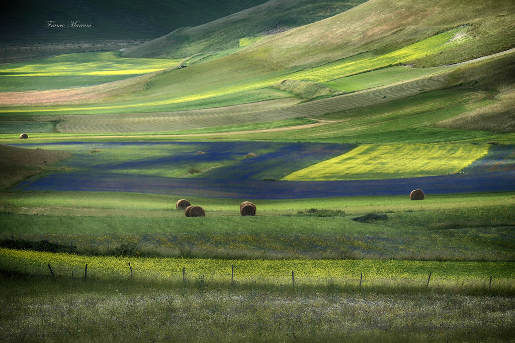 slunečnímu záření, krajina, Itálie, kopec, Příroda, tráva, nebe, pole, zelená, ráno, hospodařit, fotograf, atmosféra, národní park, Evropa, Umbrie, snové, Drsný, mount scenérie, tundra, 7, plošina, Fujifilm, 4, 9, step, 1, R, 5, strom, flickr, Nový, lučina, fotografie, Italia, italien, pastvina, galerie, fuji, 3, 6, louka, italie, fotky, Fujinon, xpro1, xf, x, 8, prostý, 2, foto, obraz, obrázek, geotagged, FinePix, senzor, fotografie, obraznost, fotos, se galerie, dík, vysočina, prérie, Castelluccio, 55200 mm, venkov, ekosystém, tráva rodina, klesl, ekoregion, apsc, fujixpro1, fujifilmxpro1, 01, castellucciodinorcia, Fujix, montisibillini, SILKYPIX, Grazie, francomarconi, fujifilmfinepixxpro1, finepixxpro1, fujinonxf55200mmf3548rlmois, fujinon55200mm, konvertor, abcdefghilmnopqrstuvz, 0123456789, wyjkx, EXR, francofranco, 1234567890 qwertyuiop asdfghjkl zxcvbnm, exif