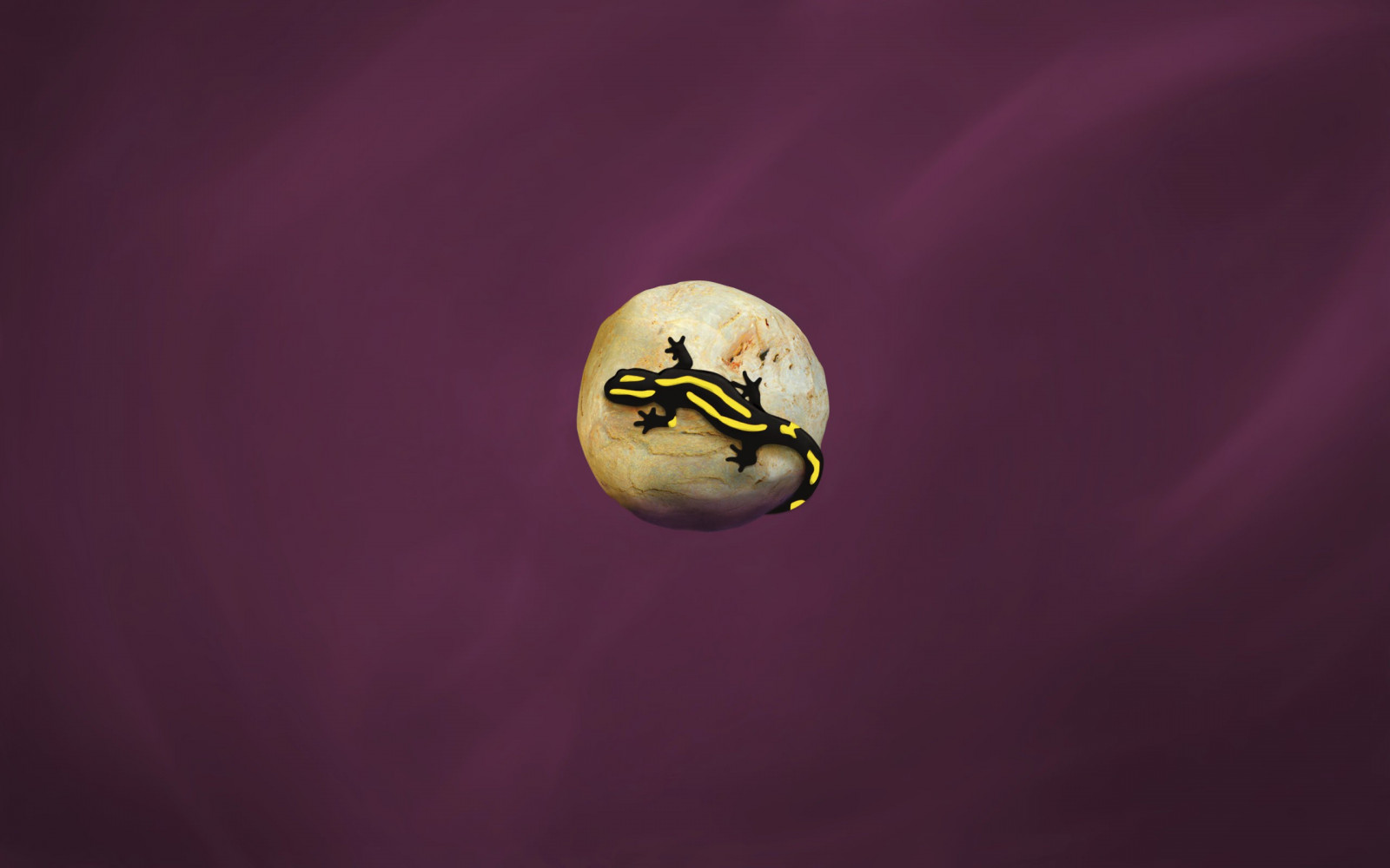 zvěř, jednoduché pozadí, fotografování, koule, žlutý, kruh, ještěrka, barva, list, květ, tvar, okvětní lístek, počítač tapeta, Atmosféra Země, zblízka, makro fotografie