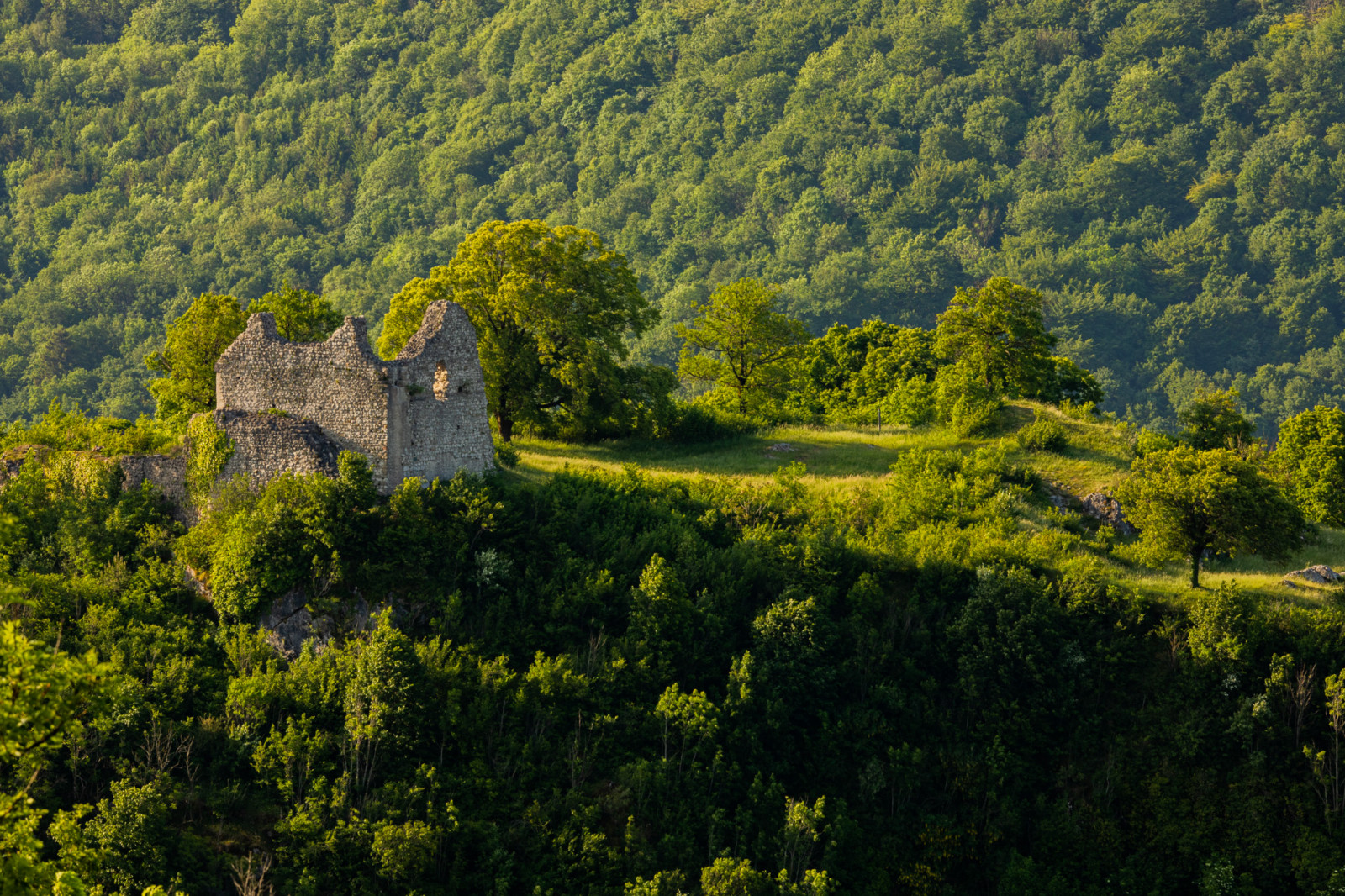 fotografering, udendørs, natur, landskab, grønne, træer, Skov, bjerge, bakker, slot