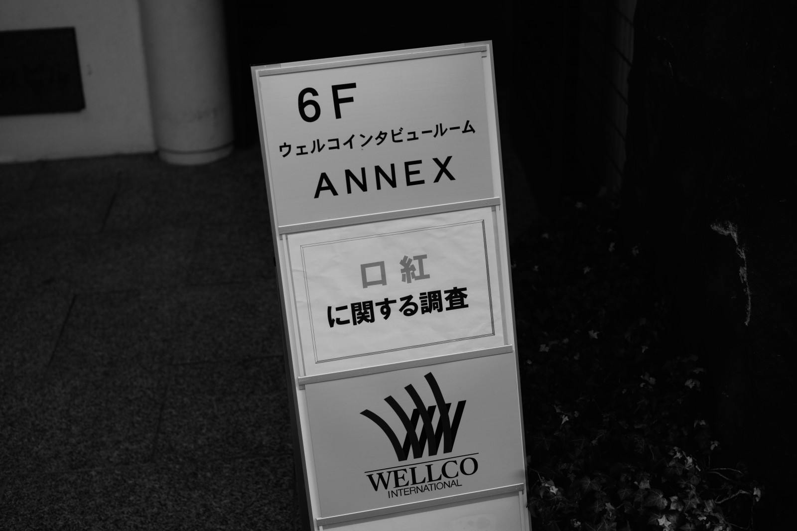hvid, sort, monokrom, Leica, mærke, Tokyo, etiket, M, bw, Zeiss, carlzeiss, Omotesando, leicam, typ240, plane, planar250zm, sort og hvid, monokrom fotografering, skrifttype