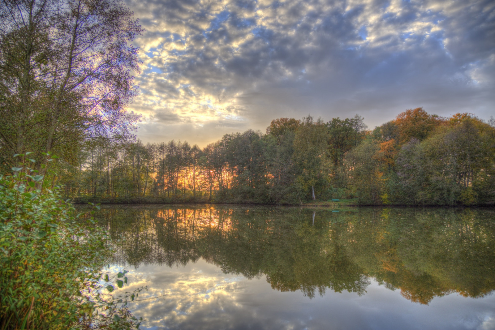 햇빛, 나무, 경치, 숲, 가을, 일몰, 호수, 물, 자연, 반사, 잔디, 하늘, 구름, 해돋이, 저녁, 아침, 독일, 계절, 강, 태양, HDR, 수평선, 못, 황혼, 습지, 2014, 빛, 구름, 아름다운, 나무, 가을, 흐린, 잎, 플리커, 땅거미, 새벽, 시즌, 색깔, atardecer, 헤멜, 한 지방, 자연, 독일, 그림 물감, 목초지, 솔레 일, 시엘, 뉘앙스, 라크, 재미있는, 대단한, 손자 장터, 허스트, Wasser, 울음 소리, 아들, 오, 알레그나 뉴, 백합, 포토 매틱스, bume, 루미 에르, 가공, 수목, 휴대용, 총소리, 웨스트 팔렌, 오스트레일리아, 자위대, 쿠 체실, 삼림지, 솔 팔드, 그로 샤셴, 헬씨, 서식지, 자연 환 ​​경, 대기 현상, 우디 식물, 물줄기