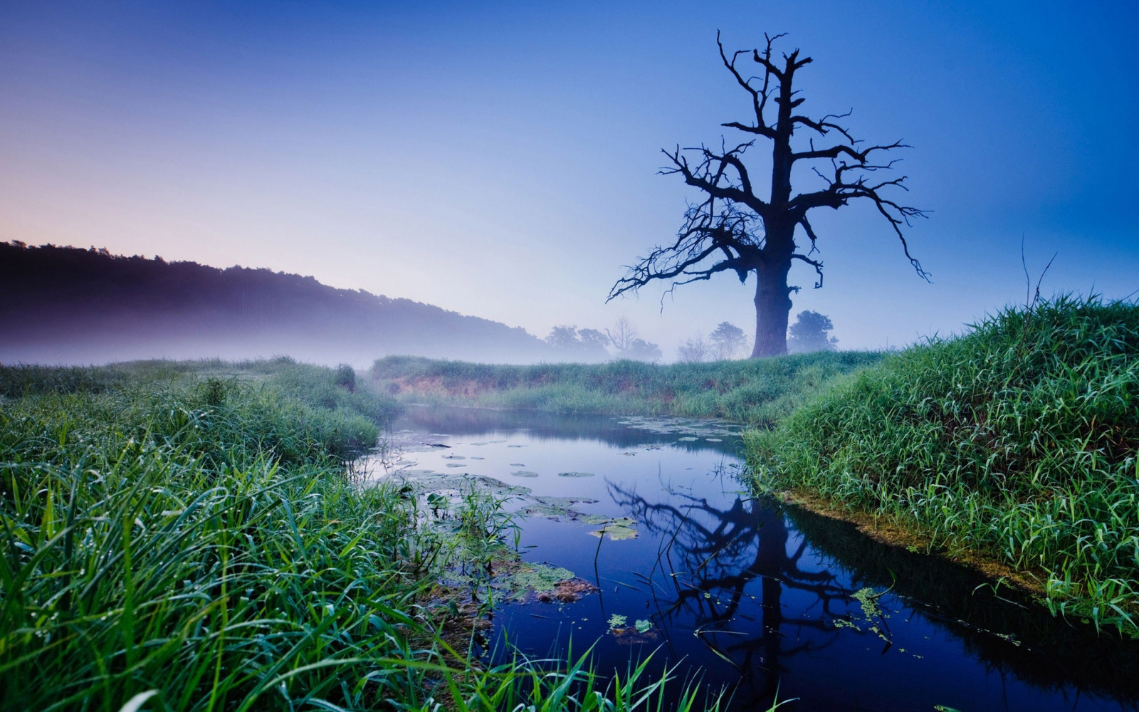 luce del sole, paesaggio, foresta, lago, acqua, natura, riflessione, erba, legna, mattina, nebbia, fiume, sporco, natura selvaggia, zone umide, albero, montagna, fiore, alba, pianta, prato, serbatoio, bosco, palude, lago, area rurale, habitat, ambiente naturale, fenomeno atmosferico, sfondo del computer, pianta legnosa, ecosistema, corpo d'acqua