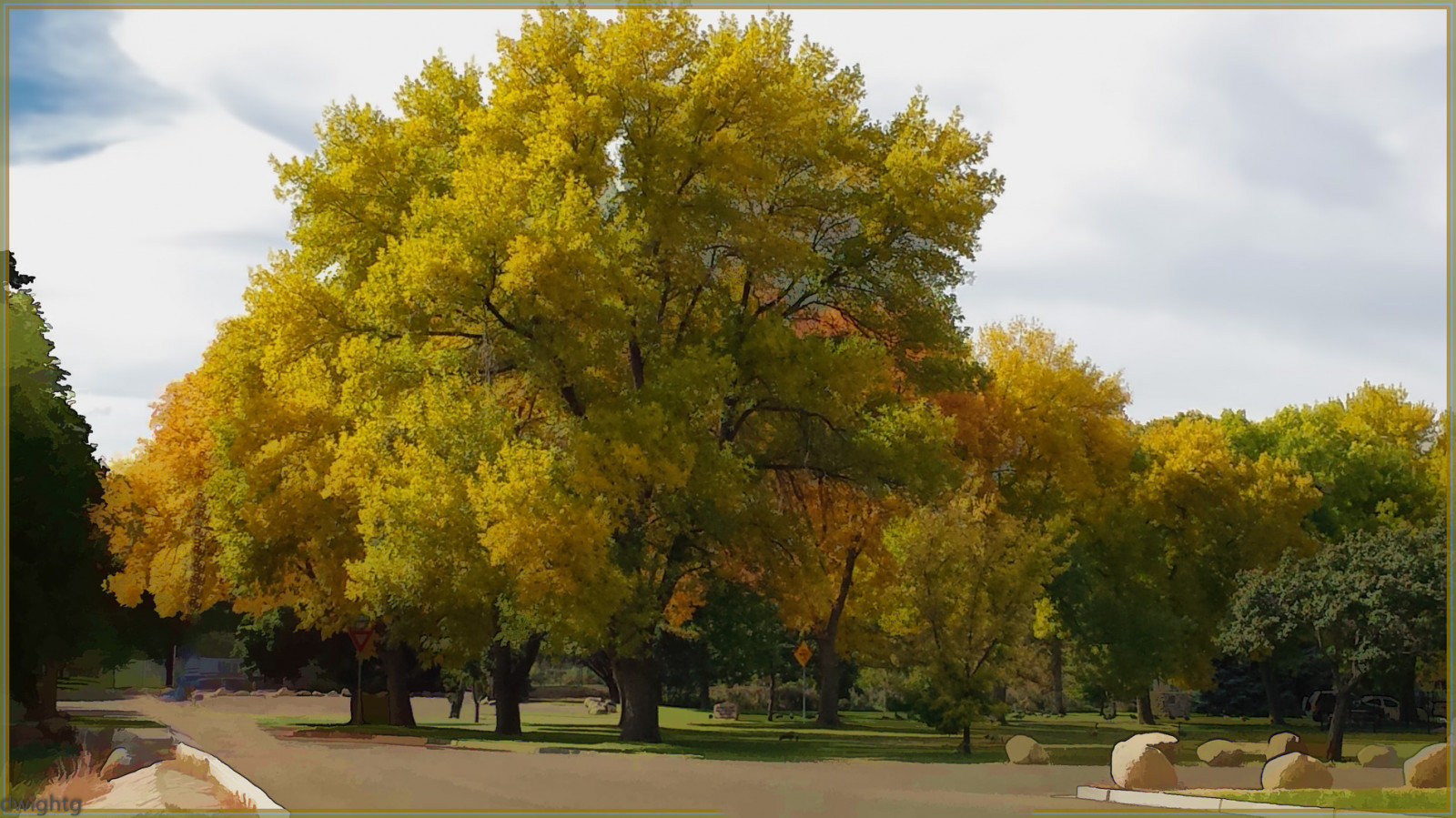 slunečnímu záření, stromy, krajina, Příroda, tráva, nebe, park, mraky, větev, žlutý, Fotoaparát, telefon, jaro, strom, podzim, list, rostlina, Topas, ps, háj, dřevina, smíšený les, javor, jinan dvoulaločný