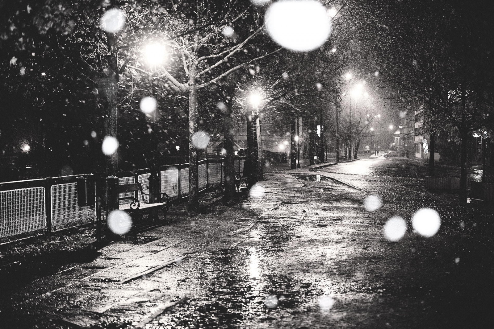 alberi, luci, strada luce, nero, monocromo, strada, notte, urbano, la neve, inverno, pioggia, fotografia, Congelamento, mezzanotte, leggero, tempo metereologico, oscurità, bianco e nero, fotografia in bianco e nero