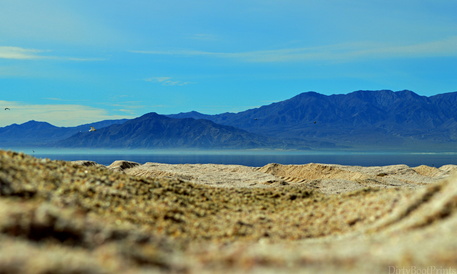 vita, California, strada, circa, viaggio, blu, mare, cielo, Marrone, nebbia, lago, pesce, paesaggio marino, montagne, riflessione, abbandonato, spiaggia, acqua, nebbia, fiume, paesaggio, noi, grande, Stupefacente, foschia, sabbia, Nikon, deserto, luminosa, POV, duna, treppiedi, sale, falso, colline, riflettere, salato, odore, ossatura, artificiale, NIKKOR, Salton