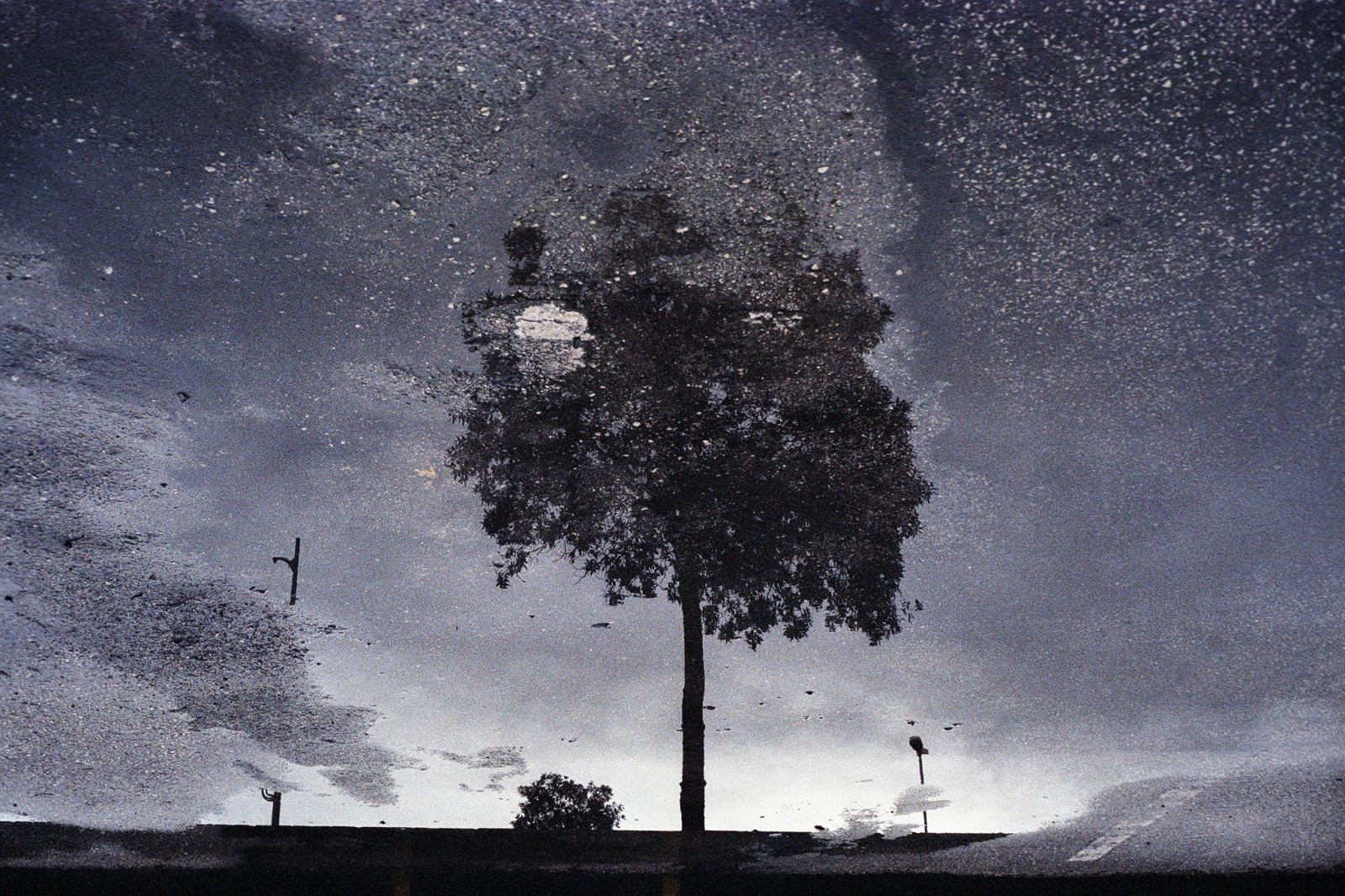 odraz, ROLLEI, analogový, 35MM, nph400, Tessar, Foligno