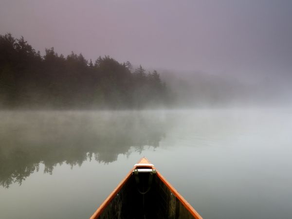 shore,fog,canoe,explore,bow,canoeing