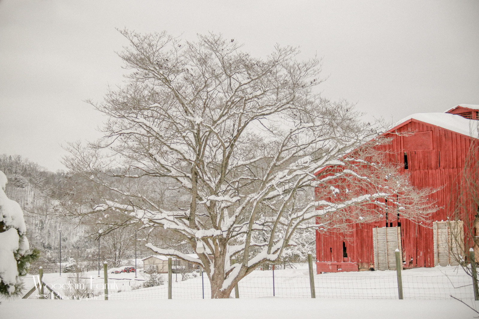 drzewa, krajobraz, biały, stary, budynek, czerwony, opuszczony, niebo, śnieg, zimowy, gałąź, dom, lód, zimno, mróz, stodoła, płot, Zamrażanie, wiejski, drzewo, sceneria, pochmurny, liść, zimowy, roślina, piękno, Dom, Śnieg, burza śnieżna, Wv, Drzewna roślina, burza śnieżna, Appalachian, dereń, Apalachia, Winfield, Barnlot