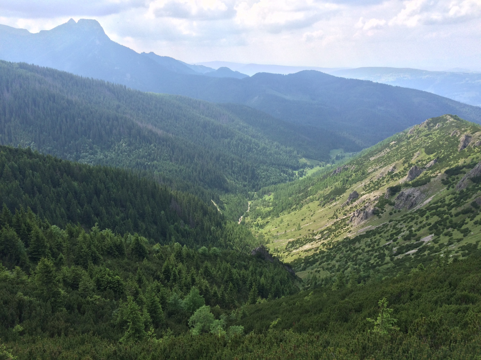 panorama, floresta, Colina, lago, natureza, vale, Passagem de montanha, região selvagem, Alpes, Andando, platô, cume, árvore, montanha, Prado, aventura, Montanhas, Loch, ambiente natural, Fenômeno atmosférico, Formas de relevo montanhosas, Forma de relevo, característica geográfica, cadeia de montanhas, estação da Colina, caiu
