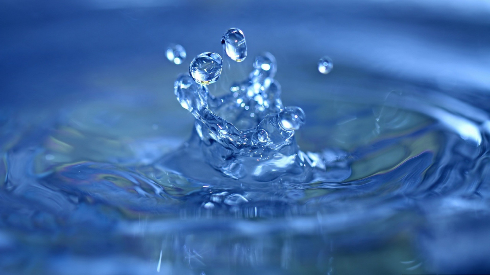 acqua, minimalismo, riflessione, gocce d'acqua, macro, blu, ghiaccio, onde, Congelamento, far cadere, petalo, sfondo del computer, avvicinamento, fotografia macro