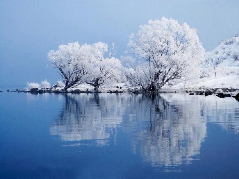 trees, water, snow, winter, lake, reflection