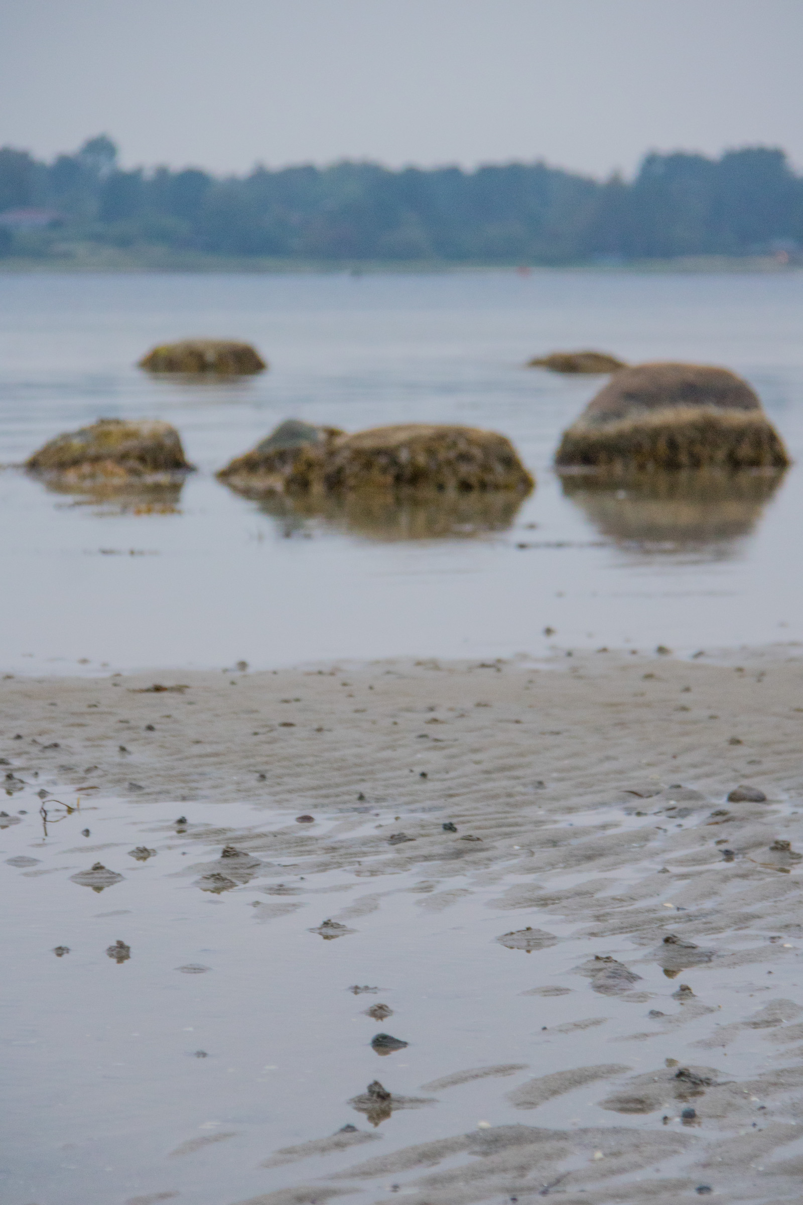 moře, jezero, voda, Skála, pobřeží, písek, odraz, pláž, pobřeží, kámen, Dánsko, mokřadní, oceán, pramen, vatten, hav, Danmark, materiál, kust, exif modelu canoneos760d, geocountry, Kamera aby kánon, geocity, Model fotoaparátu canoneos760d, geostate, geolocation, EXIF čočka efs18200mmf3556is, EXIF otvor 56, exif aby kánon, exif focallength 110mm, exif isospeed 1250, sten, kulhuse, místo výskytu, přírodní prostředí, mělčina při ústí řeky