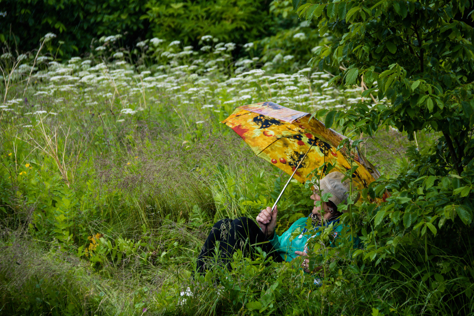 คน, ร่ม, สัตว์ป่า, ป่า, ฤดูใบไม้ร่วง, ใบไม้, ดอกไม้, นก, m nniskor, smygehuk, exif model canoneos760d, กล้องทำให้ Canon, กล้องรุ่น canoneos760d, ตำแหน่งทางภูมิศาสตร์, เลนส์ Exifs efs18200mmf3556is, รูรับแสง 56, exif ทำให้ canon, exif isospeed 160, ความยาวโฟกัส 130 มม, เชิงอรรถ, กลางฤดูร้อน, midsommar, สัตว์ป่า, ถิ่นที่อยู่, สภาพแวดล้อมทางธรรมชาติ