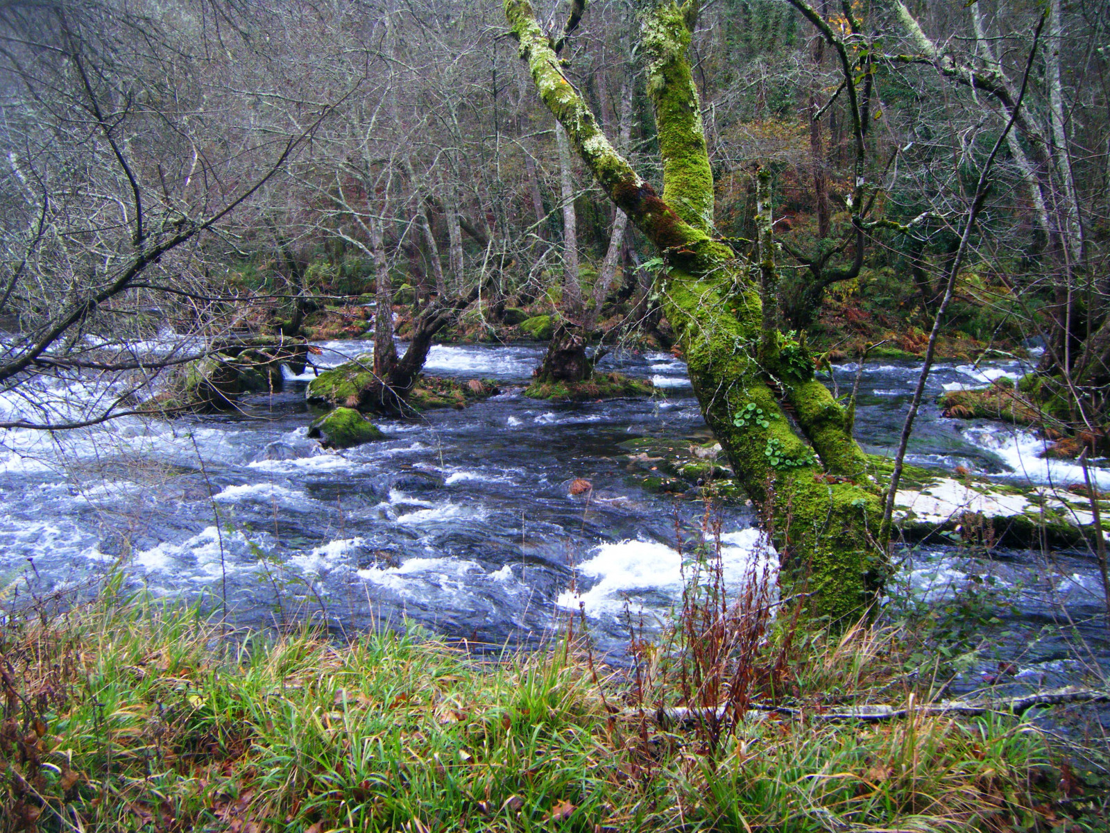 řeka, chůze, Španělsko, čaj, turistika, Ironbridge, Galicia, senderismo, Riofrio, Stonebridge, puentedehierro, puentedepiedra, Mondariz, mondarizbalneario, Riotea, Ocondado, Riosgallegos, Paseofluvialriotea, teresalaloba, Fozara, rednatura2000, Sendafluvialriotea, senderodepescadores, Odesílatel, Fishermenspath