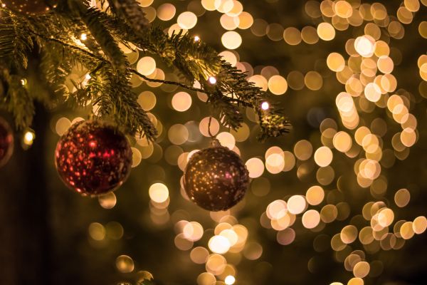 night,branch,Christmas Tree,Christmas,bokeh,holiday