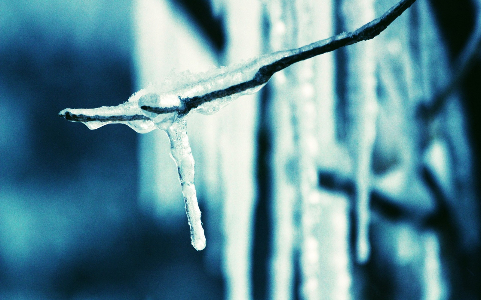 Wallpaper : icicle, branch, ice, spring, dark blue 1920x1200 ...