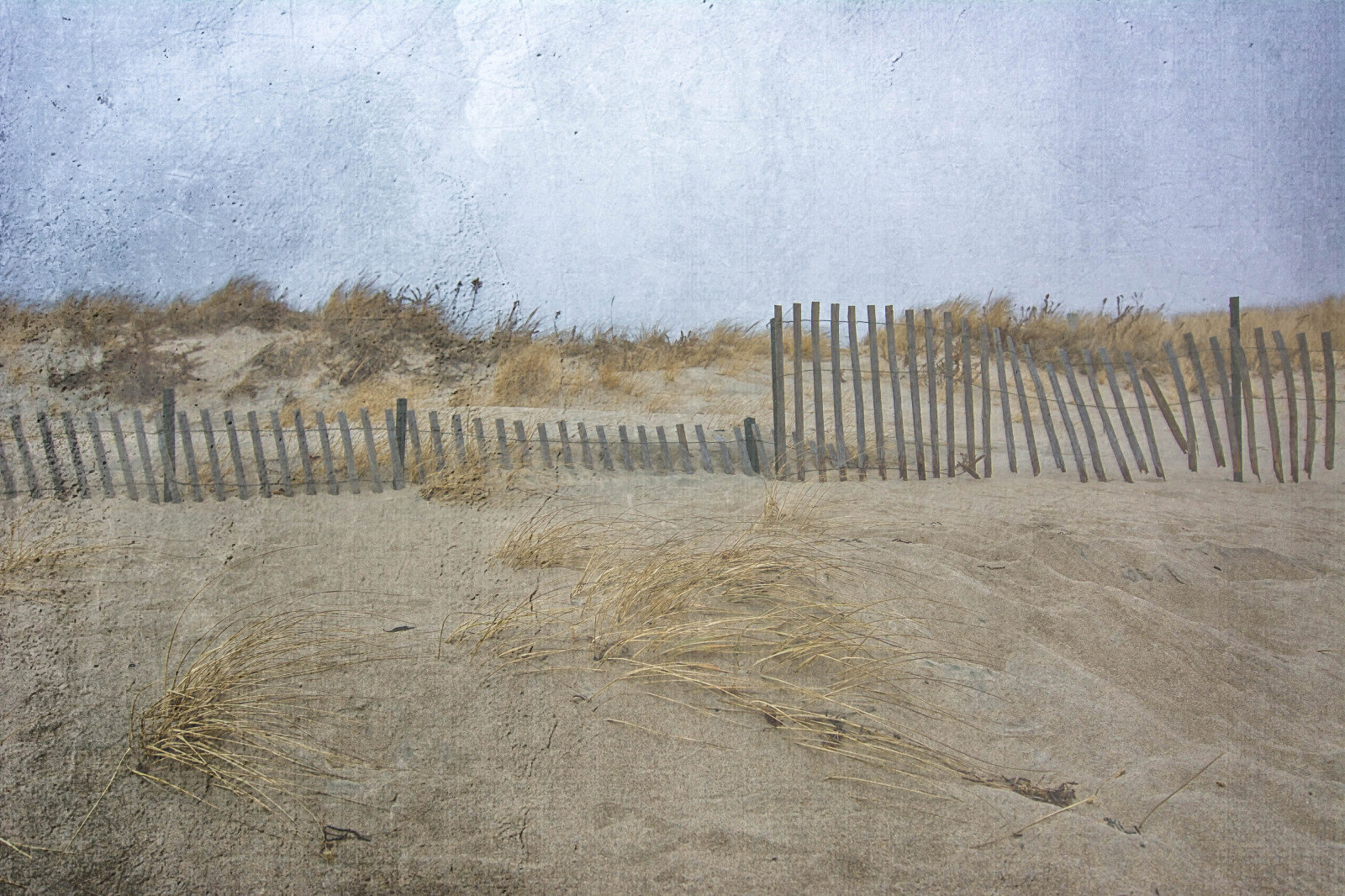 schilderij, licht, strand, zand, hek, Rhode Island, Napatree, humeur, Nikon
