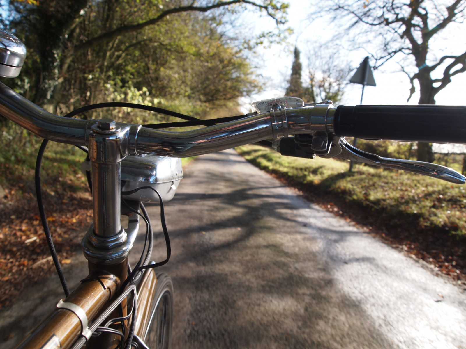 silnice, podzim, stromy, světlo, nebe, zelená, listy, Sluneční svit, Rychlost, já, zlatý, 1974, tři, ocel, Olympus, Raleigh, přední, kopce, chróm, pruh, brzda, lukostřelec, Přizpůsobení, řídítka, shifter, spoušť, Chiltern, Vážený pan, páky, Dynohub, Robustní, epl1, microfourthirds, mzuiko
