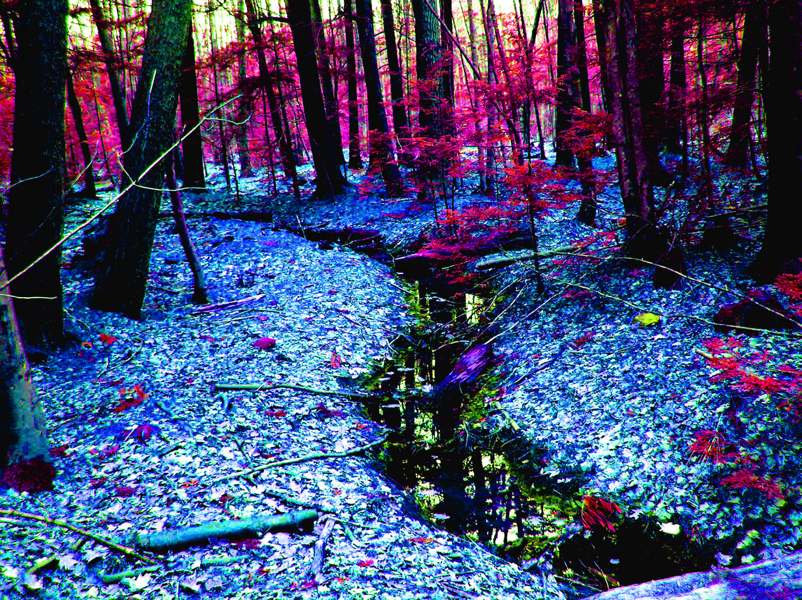 Californien, fødselsdag, parkere, jul, gade, ny, by, nyc, rejse, rejse, familie, blomster, blå, bryllup, venner, lys, solnedgang, rød, hav, parti, sommer, ferie, portræt, himmel, mennesker, favorit, mad, USA, Sol, hus, ferie, sne, NewYork, Frankrig, blomst, farve, makro, træ, grøn, KUNST, elsker, strand, mig, natur, vand, festival, arkitektur, nat, skyer, kontrast, Amerika, Skov, have, geotagget, sjovt, YAHOO, Google, koncert, farverig, strøm, flickr, stråling, Mit rum, bedst, halvt liv, sige, 08, voksede, mætte, langt, Strangeland, småskændes, hurtigere, blueforest, psdtuts