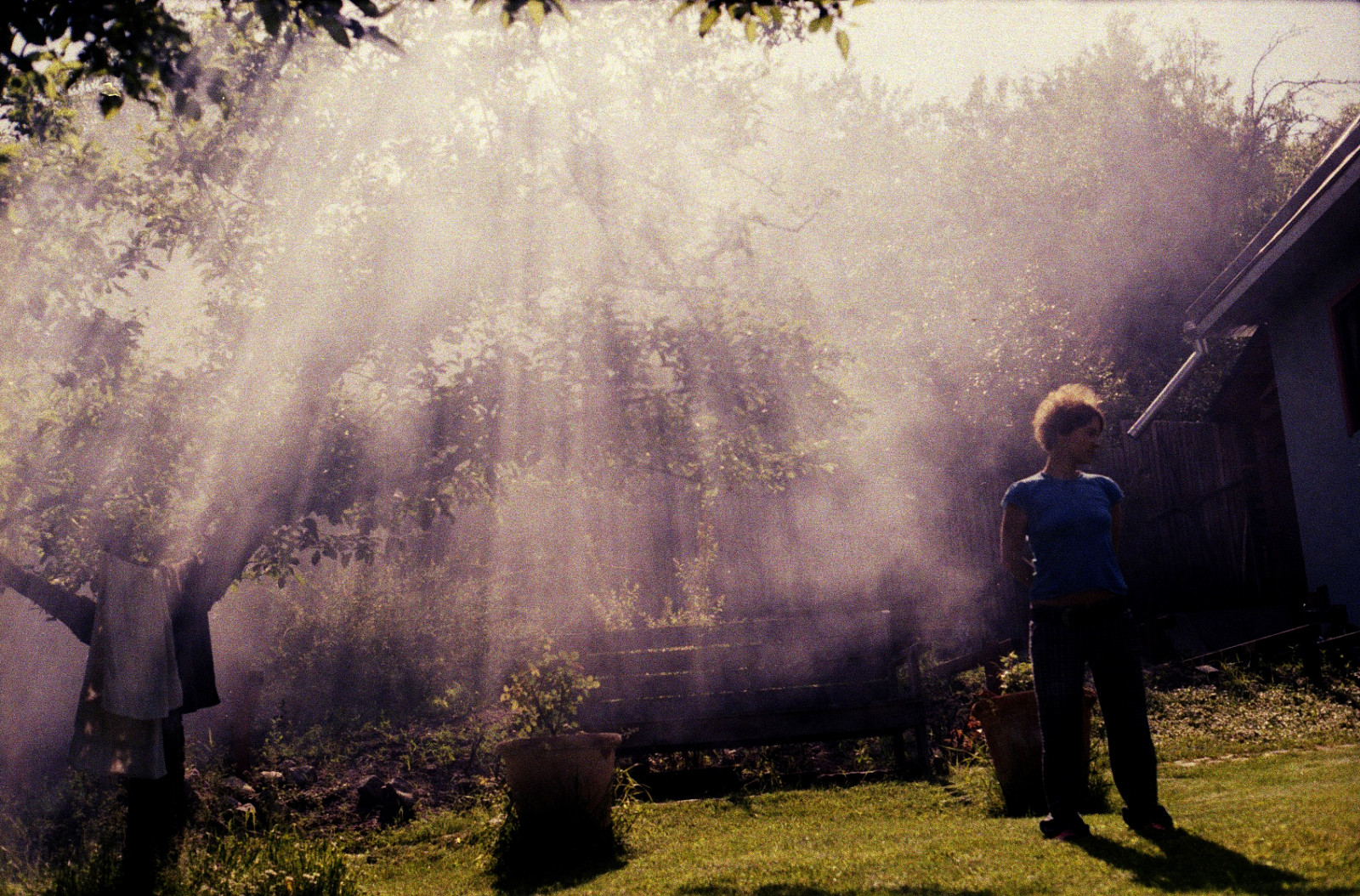 slunečnímu záření, stromy, krajina, les, voda, Příroda, tráva, nebe, pole, fotografování, kouř, větev, zelená, modrý, večer, ráno, atmosféra, stojící, jaro, světlo, paprsky, strom, 50mm, f18, rostlina, dívka, prozkoumal, zábava, analogový, carlzeiss, film, listy, BRZ, ISO200, vintageanalogue, dřevina, tráva rodina, Praktica, kodakgold200, jev, dacha, praktical, lawnstories, stock photography