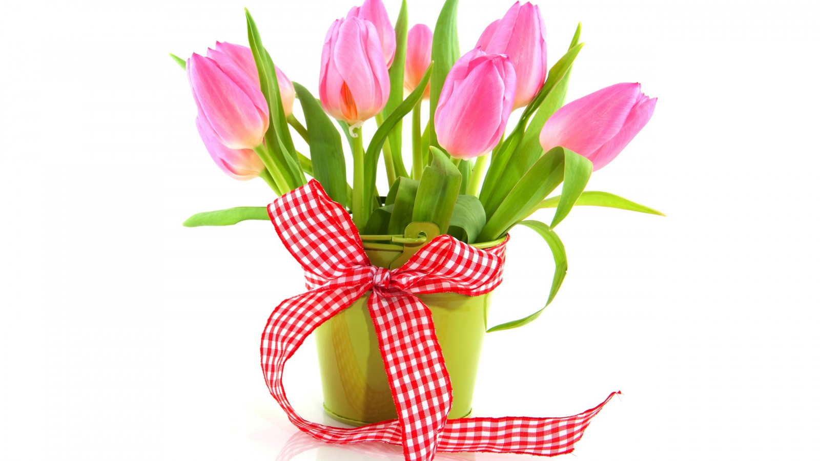 Wallpaper : tulips, flowers, white background, bucket, ribbon 2560x1440