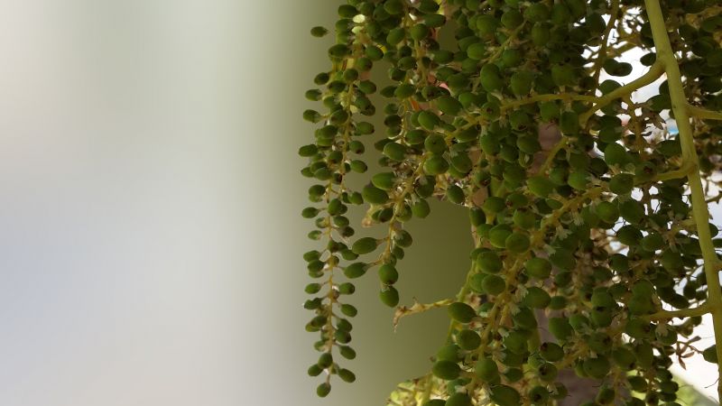 4128x2322 px,2015041