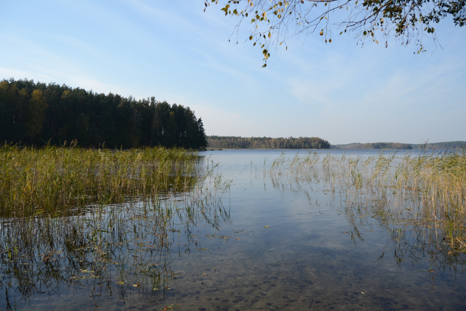 landskab, sø, vand, natur, afspejling, græs, morgen, flod, Dam, sump, vådområde, træ, efterår, blomst, plante, reservoir, marsk, loch, landdistrikt, levested, naturligt miljø, atmosfærisk fænomen, vandveje, krop af vand