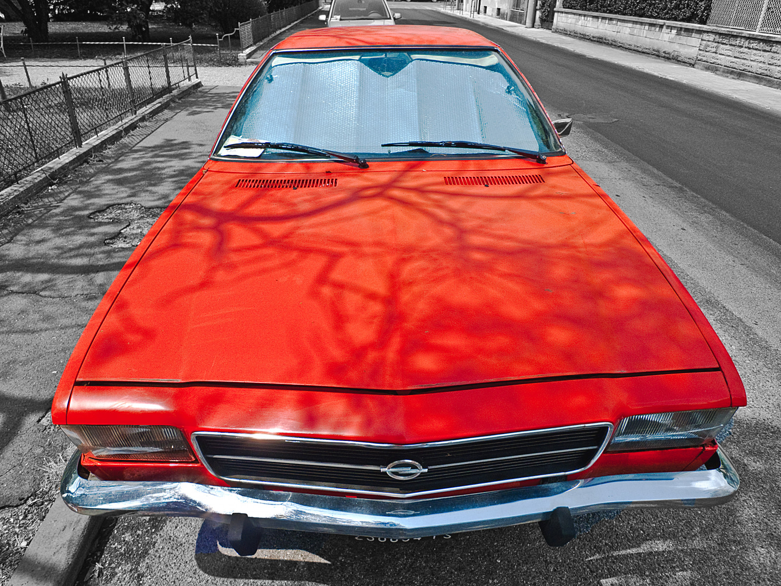 bil, køretøj, hætte, Vintage bil, klassisk bil, ydeevne bil, Opel, Sedan, skåret ud, udforske, automobil, klassisk, Forside, bildesign, automotive exterior, kompakt bil, motor køretøj, muskel bil, fuld størrelse bil, panasoniclumixdmclx3, opelrekordlexport