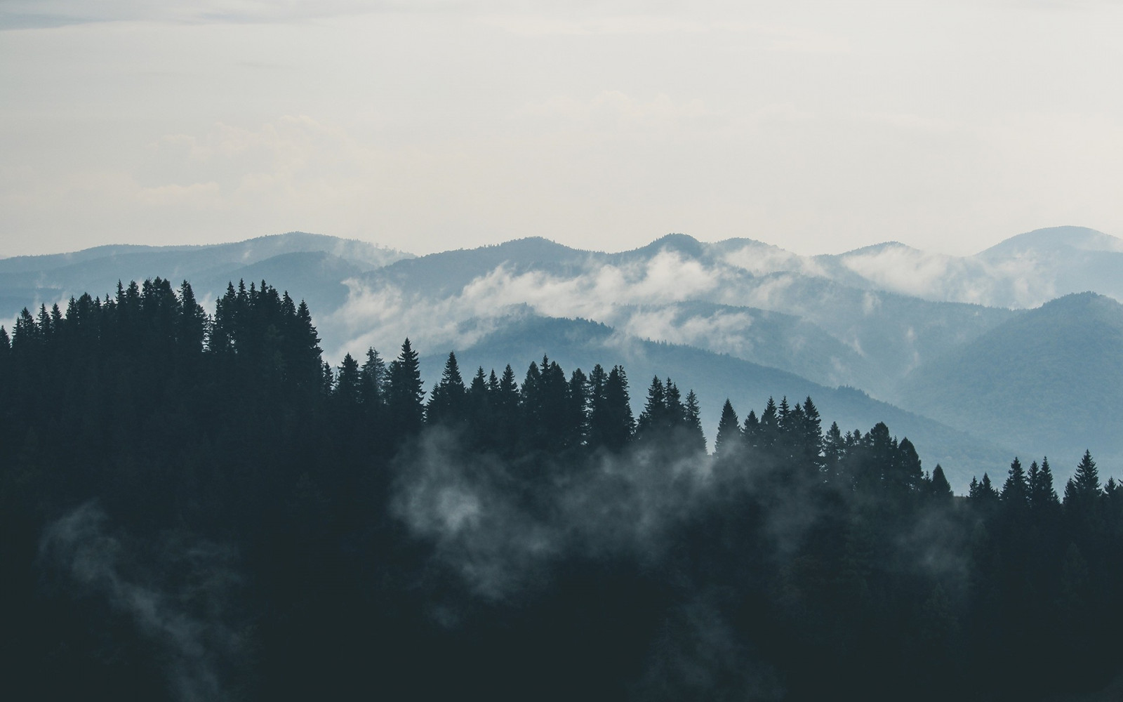 orman, Dağlar, Tepe, doğa, gökyüzü, kar, Bulutlar, gündoğumu, sabah, sis, Alpler, Zirve, Sırt, bulut, Ağaç, sis, dağ, hava, Şafak vakti, Atmosferik fenomen, Dağlık alan şekilleri, Yeryüzü biçimi, Coğrafi özellik, Dağ sırası