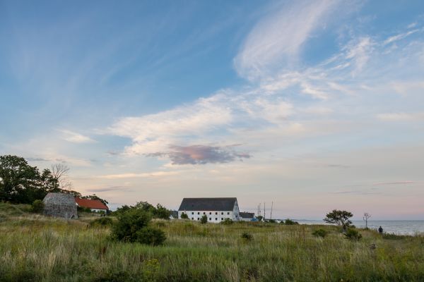 landscape,sea,grass,sky,hill,field