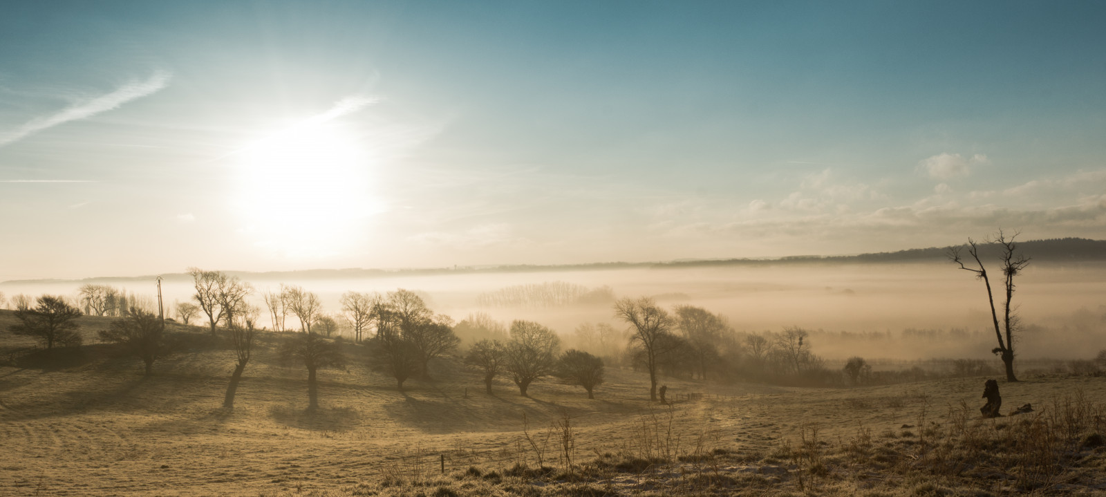 luce del sole, paesaggio, tramonto, collina, natura, cielo, campo, Alba, sera, mattina, nebbia, Sole, vento, orizzonte, Sony, Francia, crepuscolo, paysage, Nord, nube, nebbia, tempo metereologico, alba, zeiss, sbarcare, Soleil, mattutino, alfa, pianura, Brouillard, sal2470z, area rurale, ambiente naturale, fenomeno atmosferico, alpha77, leva, Passo di Calais, variosonnart282470, cotedopale, wierre-effroy, carlzeiss282470za, autembert