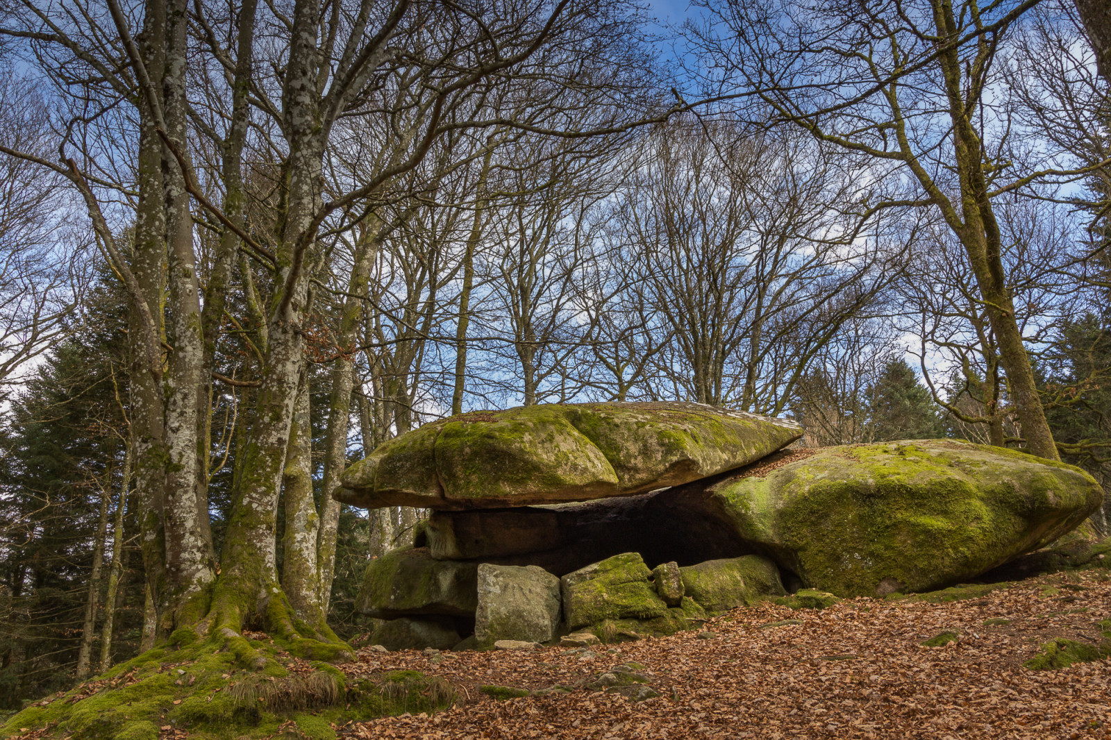 morvan, ni vre, Bourgogne, dolmen, M galithe, Granit, alberi, Arbres, foret, foresta, Caos, 1200D, Canone, Pierre, Rocher, roccia, pietra