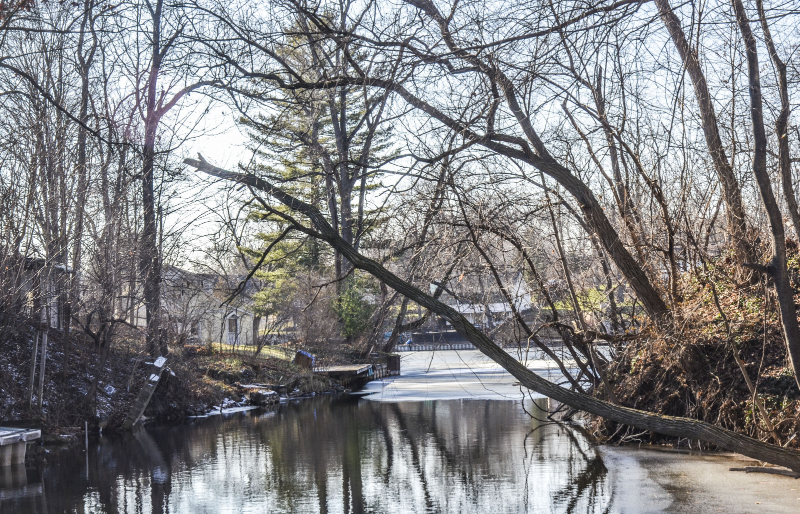 Wallpaper : waterway, water, reflection, tree, winter, plant, canal ...