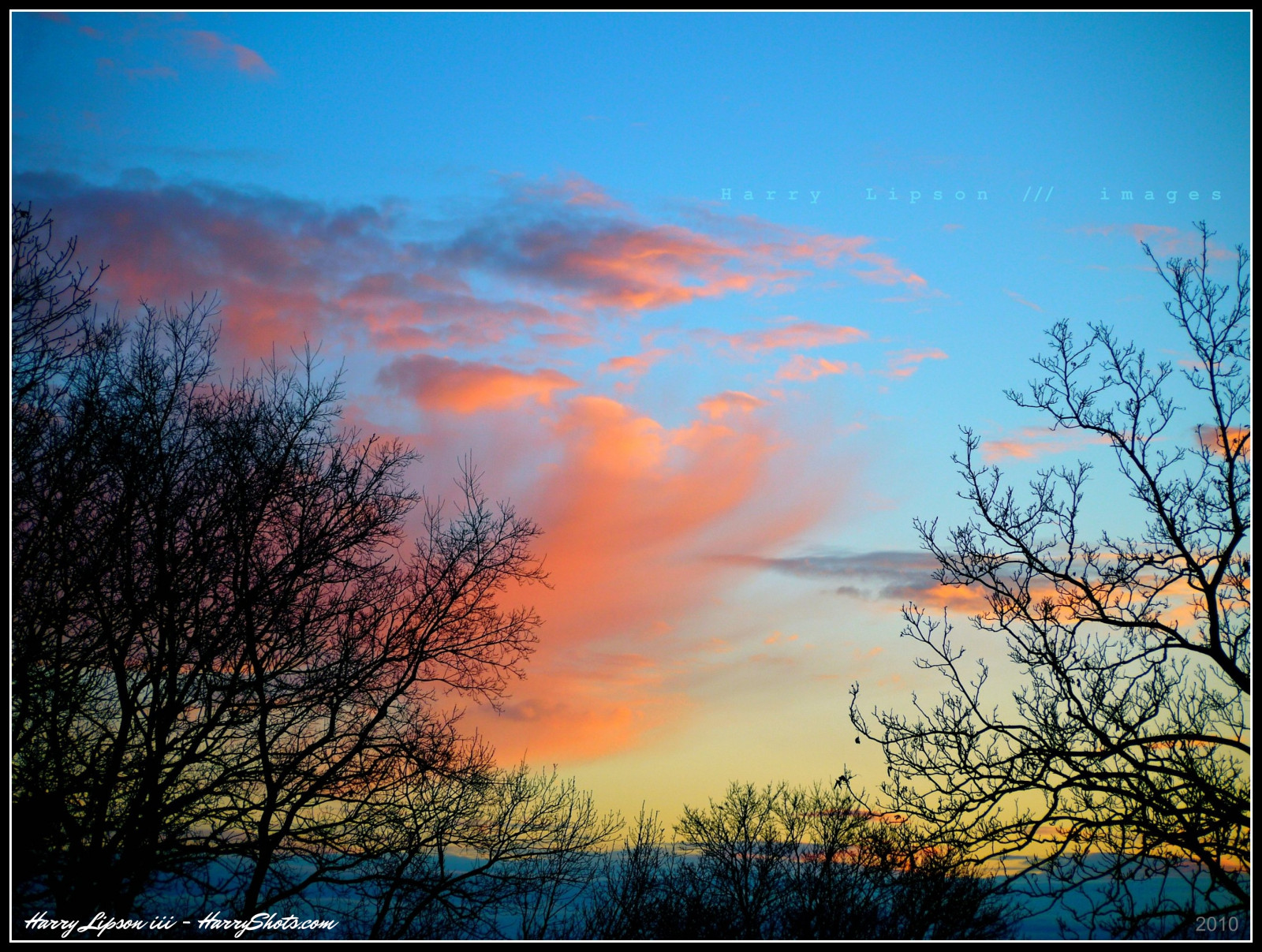 morgen, træer, lys, himmel, orange, Sky, træ, skyer, dagslys, pæn, farverig, december, dag, skyer, naturlig, Massachusetts, Ny England, colorphotoaward, panasonicgf1, harrylipsoniii, harrylipson, harryshotscom, copyrightbyharrylipsoniiiallrightsreservednounauthorizedusagewithoutexpresswrittenconsent, harrylipson3, visitharryshotscom, iinviteyoutovisitmywebsiteharryshotscom, theunsungphotographer, theunsungphotographercom, totalslackerphotographycom, totalslackerphotography, thephotographyofharrylipson