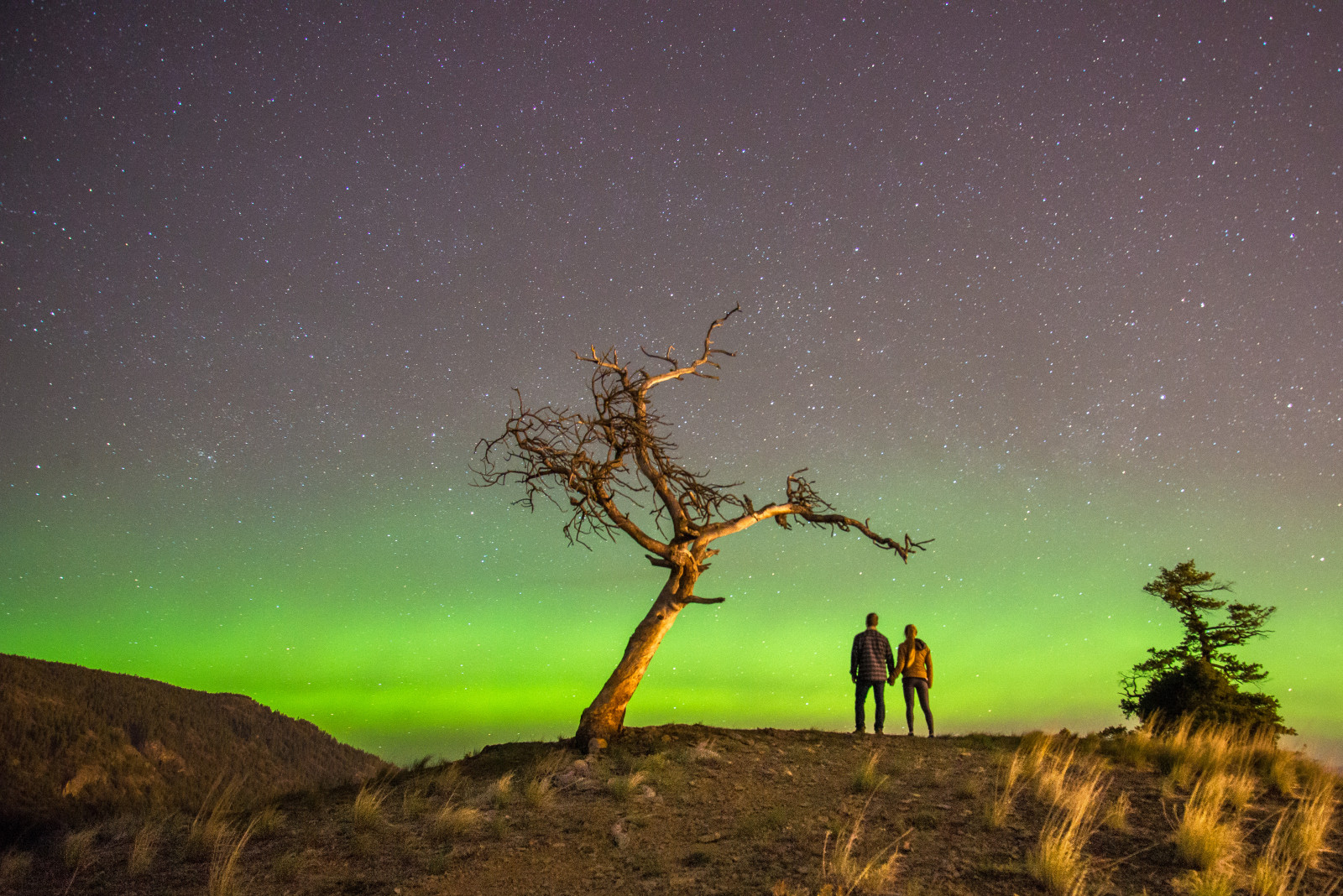 Wallpaper sky, green, silhouette, night, stars, lights, okanagan, g