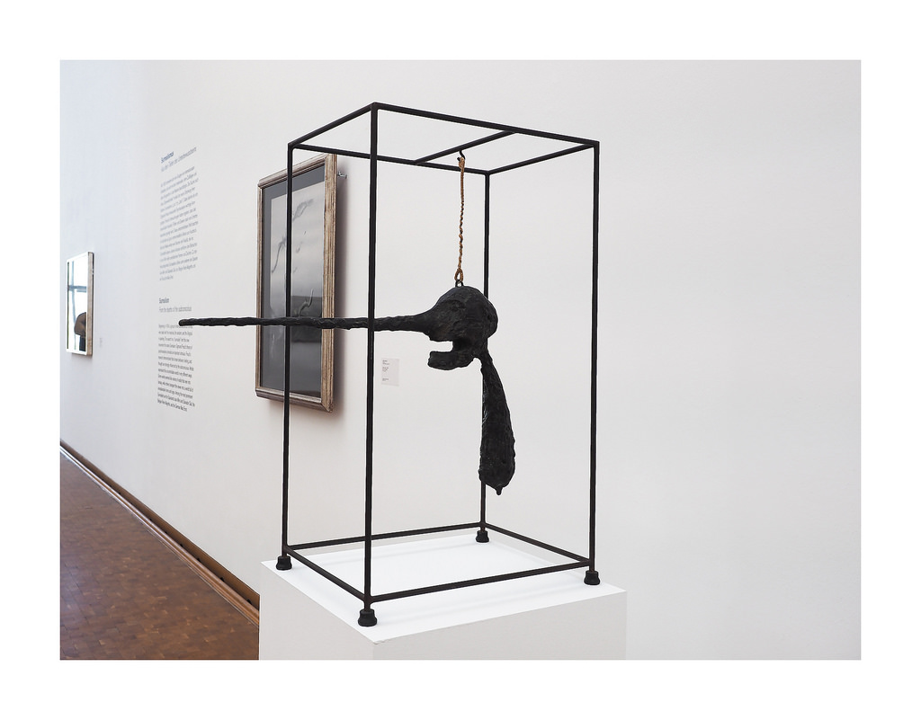 クリンダリックスのリーフレット