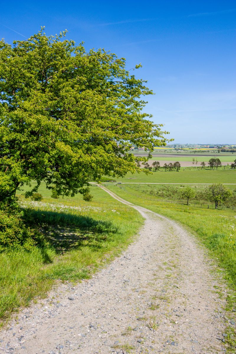 pemandangan,bukit,alam,rumput,jalan,bidang