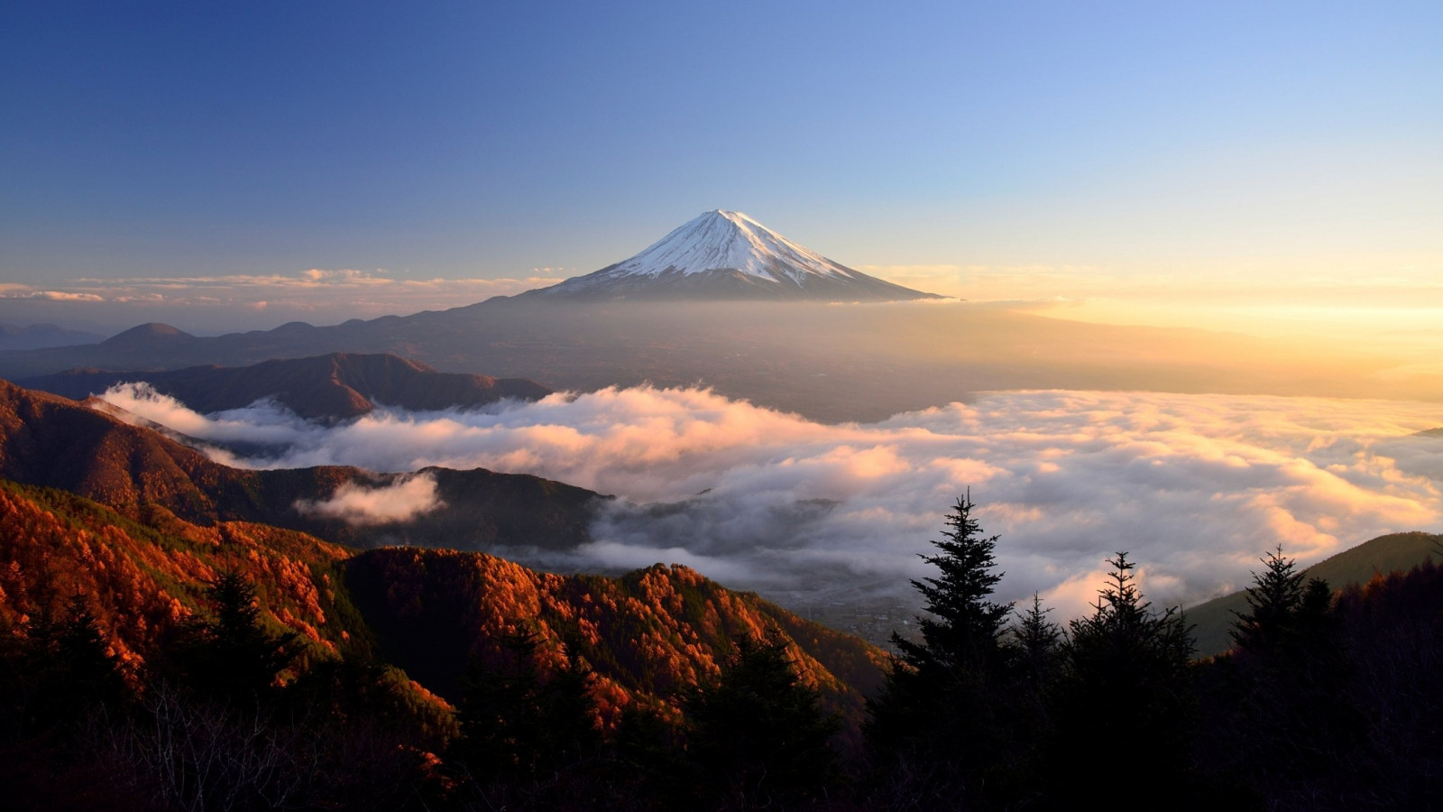 2560x1440 px, Nubes, paisaje, niebla, Monte Fuji, naturaleza, cielo, luz de sol, vista superior, Árboles