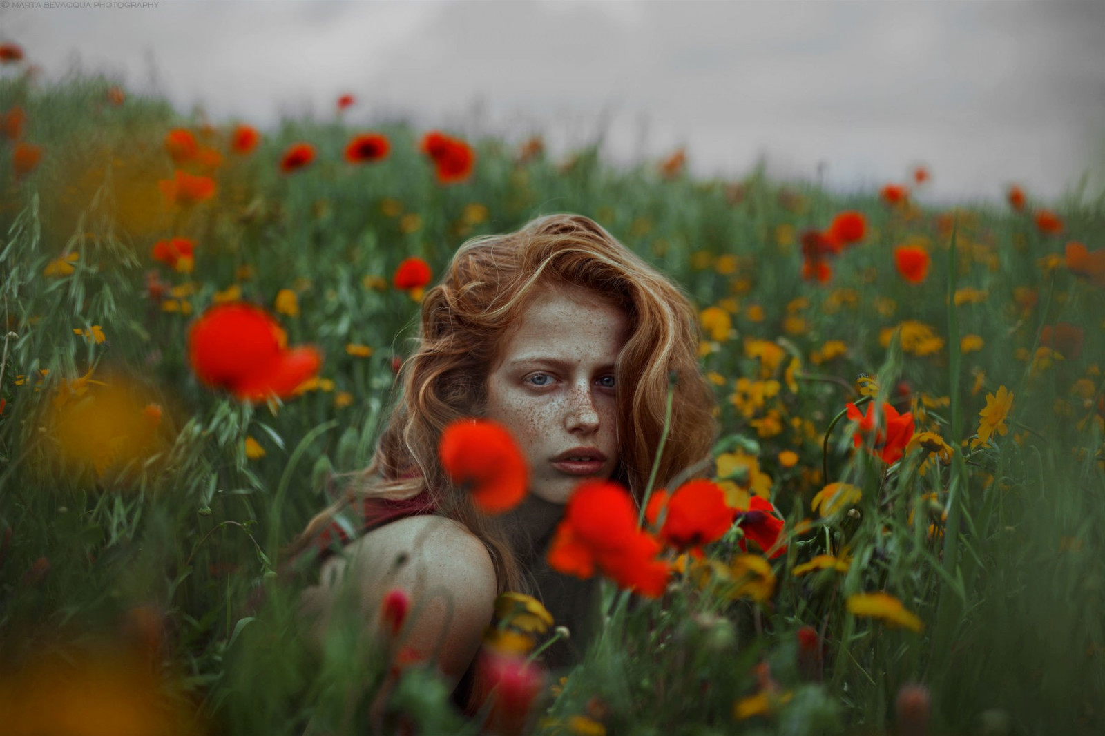 tvář, ženy venku, ženy, ryšavý, model, fantasy dívky, květiny, modré oči, při pohledu na diváka, tráva, žluté květy, vlnité vlasy, pole, Pehy, červené květy, vlčí mák, podzim, květ, rostlina, mák, flóra, louka, divoká rostlina, suchozemská rostlina, kvetoucí rostlina, daisy rodina, mák rodina