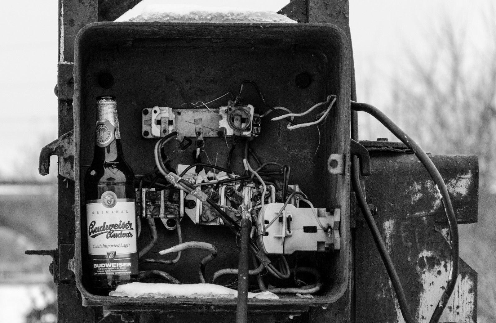 Wallpaper blackandwhite, bw, beer, d7000 4315x2810 935798 HD