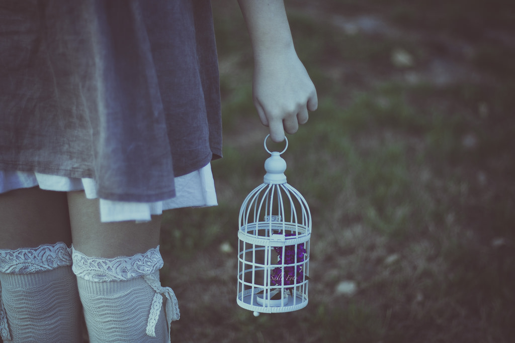 parco, calzini, fotografia, vestito, rosa, fiore, ragazza, mano, fotografia, gabbia, istantanea, parque, fiore, nina, vestido, media, jaula, Sallyfoto