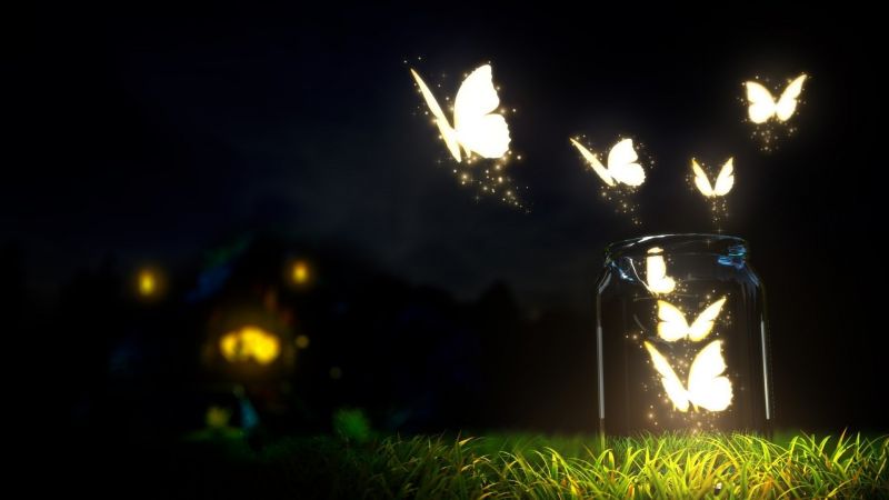 1920x1080 px, Schmetterling, Beleuchtung, Nacht- 1920x1080 px, Schmetterling, Beleuchtung, Nacht-