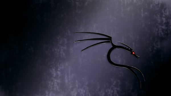 dragon,night,Moon,Linux,moonlight,wind