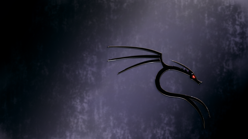 notte,Luna,chiaro di luna,Linux,Drago,vento