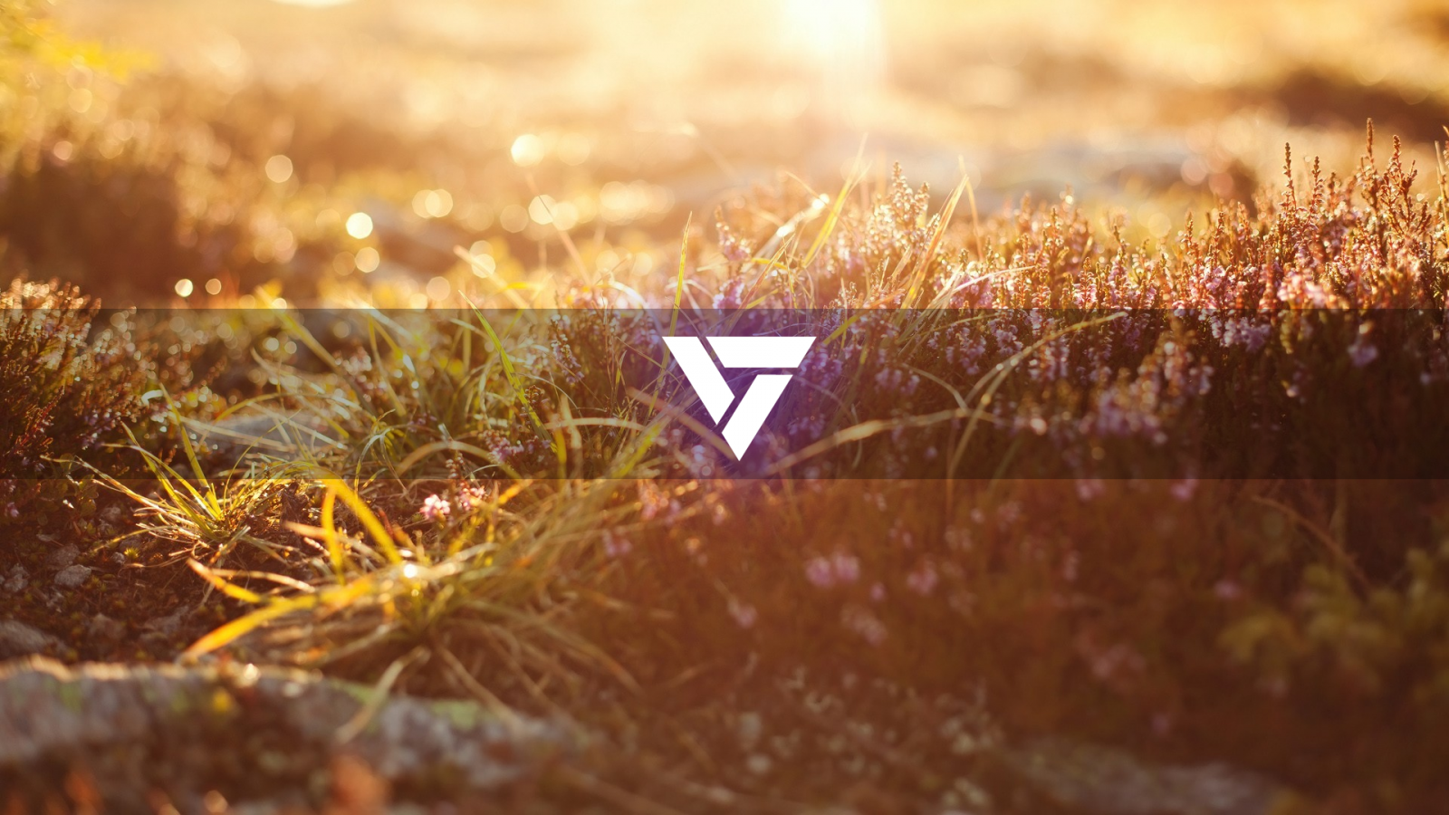 Sonnenlicht, Sonnenuntergang, Natur, Betrachtung, Gras, Fotografie, Abend, Morgen, Frost, Onih Unterhaltung, Licht, Baum, Herbst, Blatt, Blume, Pflanze, Jahreszeit, Boden, Nahansicht, Makrofotografie, Grasfamilie