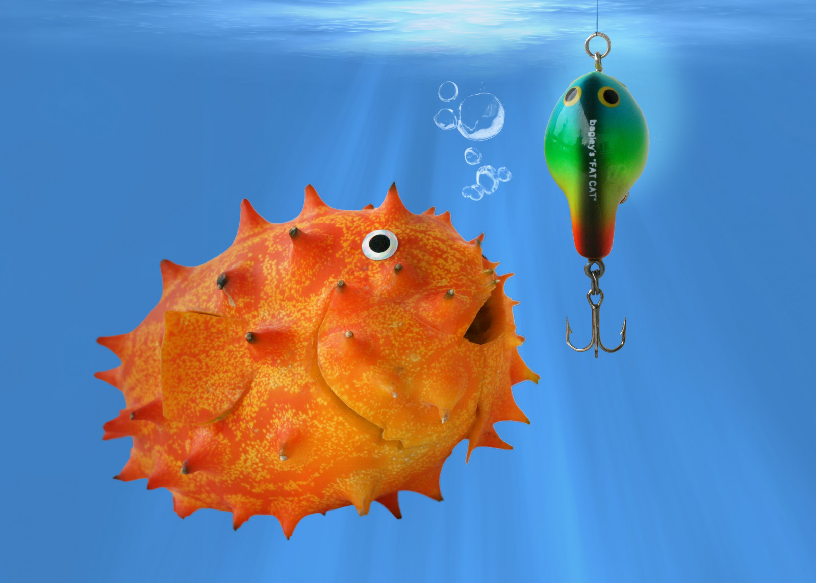 Čína, modrý, jídlo, hrací, hloupý, UMĚNÍ, ovoce, Photoshop, Kino, s, humor, Fruta, prozkoumat, p, puffer, práce, přemýšlel, přední strana, návnada, blowfish, baiacu, antropomorfní, playingwithfood, kiwano, isca, anthropomorph, prozkoumal, antropomorfico, verymessy, část, anthropomorphe, pezbola, carvinga, incaseyoure, t traodontid, blasfisch, kiwanoisa, spreadhumorcoalition, brincandocomacomidablog