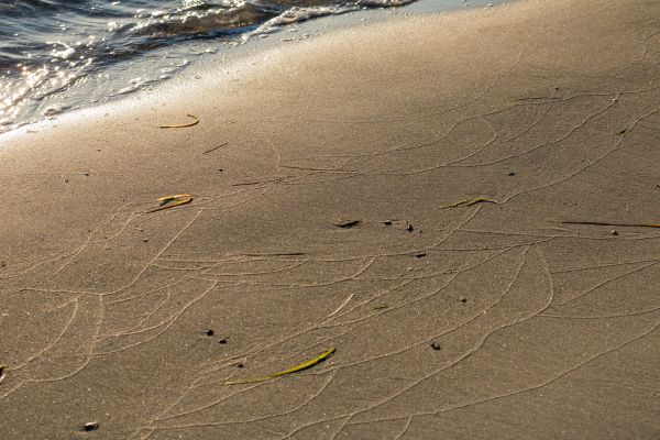 海,海岸,砂,ビーチ,海岸,アスファルト