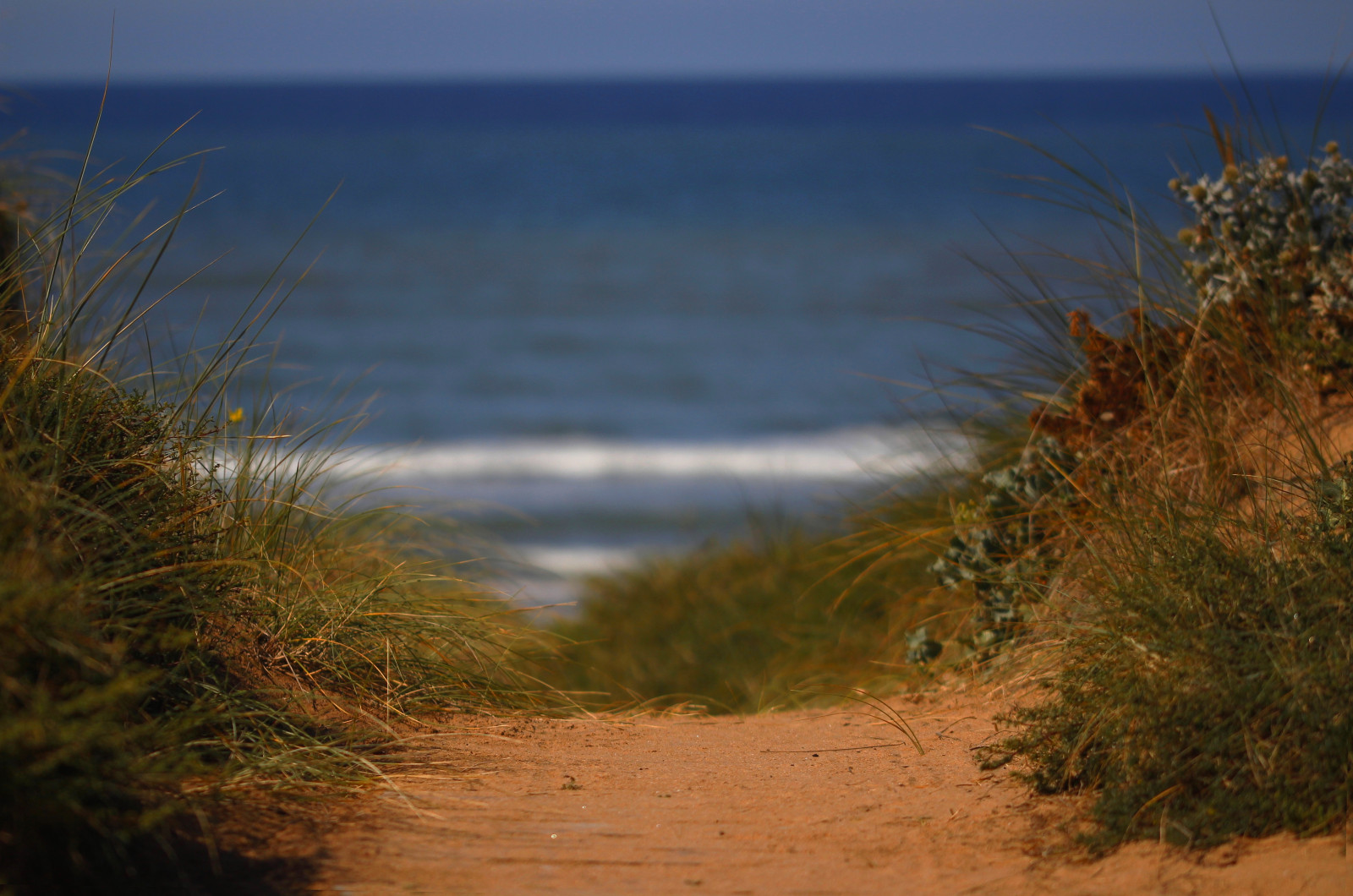 Concentrer, dune, Oc anatlantique